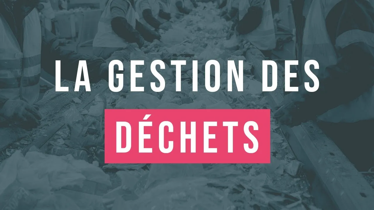 Besançon lance une grande campagne de dératisation pour protéger ses citoyens